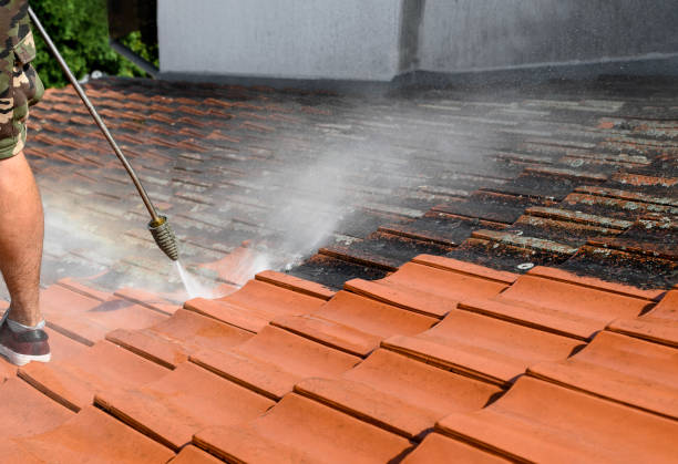 Best Commercial Pressure Washing  in Mountain View, HI