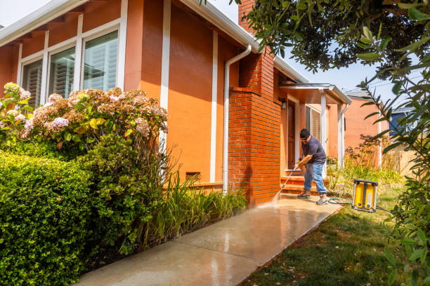 Best Deck Pressure Washing  in Mountain View, HI