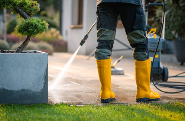 Best Pressure Washing Company Near Me  in Mountain View, HI